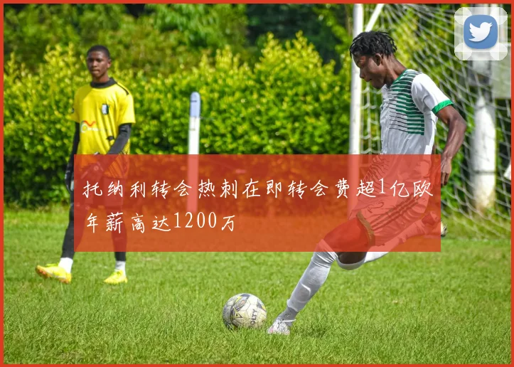 托纳利转会热刺在即转会费超1亿欧年薪高达1200万