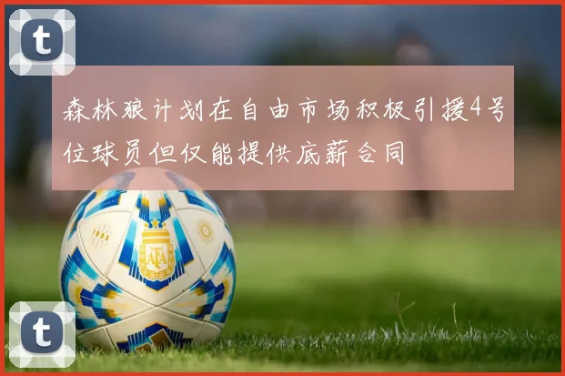 森林狼计划在自由市场积极引援4号位球员但仅能提供底薪合同